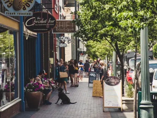 BPOS Product Mix Guide - Neighborhood Demographics