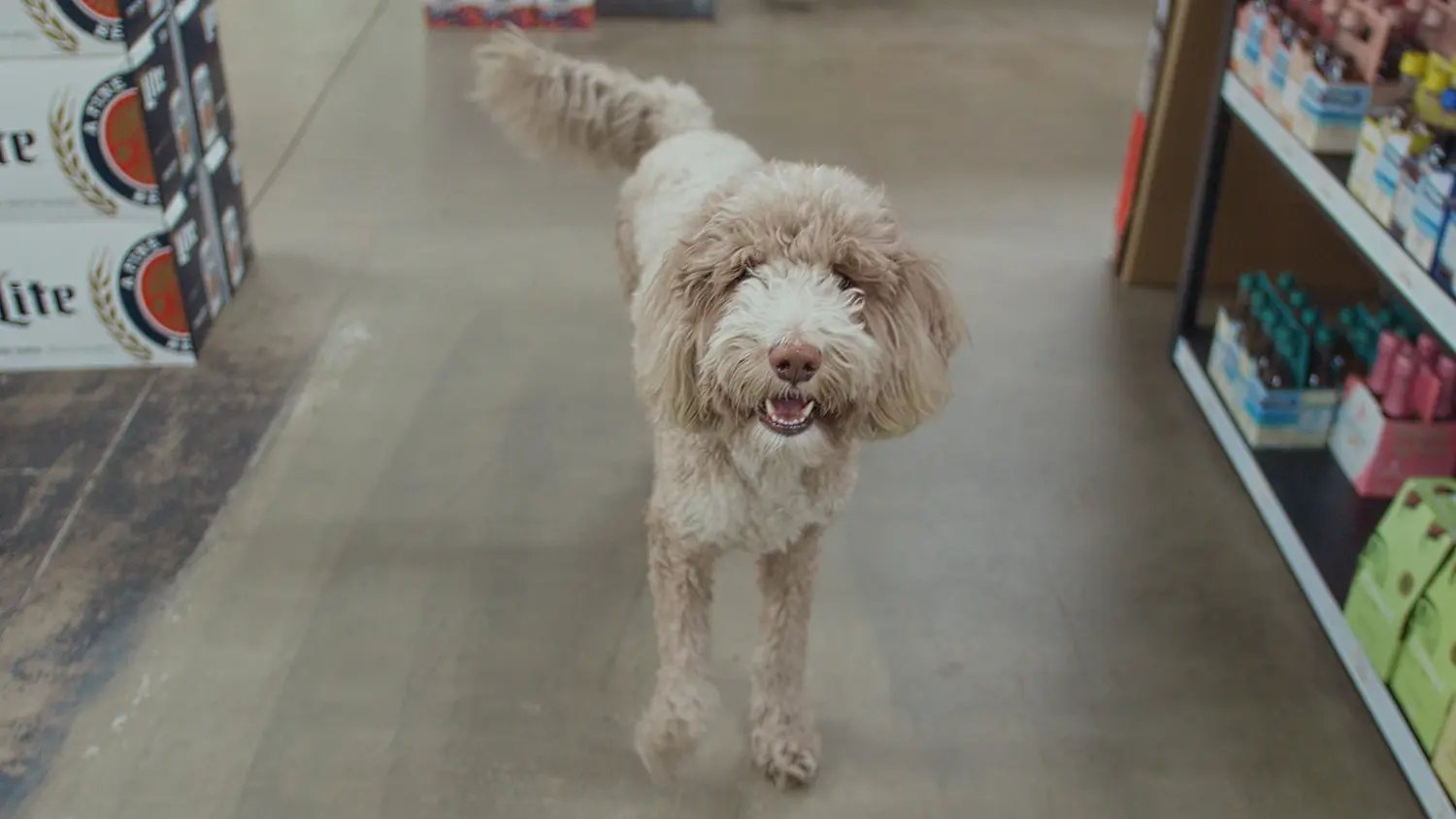Ridgewalk Bottle Shop_Doggo